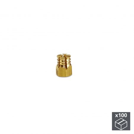 Lot de 100 Écrous à expansion, M4, D. 5.5 mm, Laiton